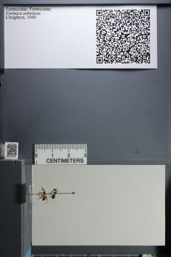 Media type: image;   Entomology 525319